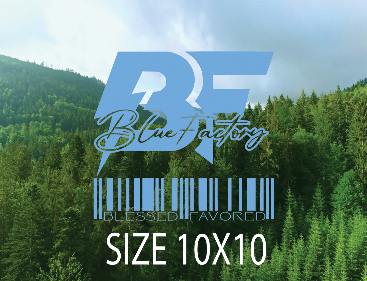 BF DTF 10X10 CUSTOM TRANSFER (single image)