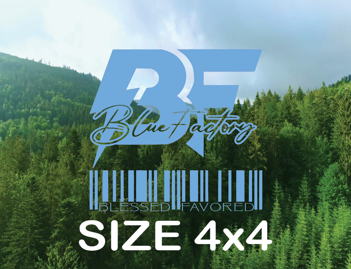 BF DTF 4x4 CUSTOM TRANSFER (single image)