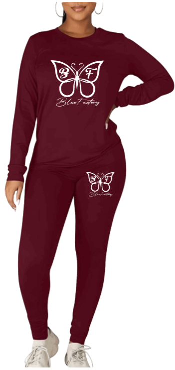 Women's Tracksuit 2 Piece Outfits